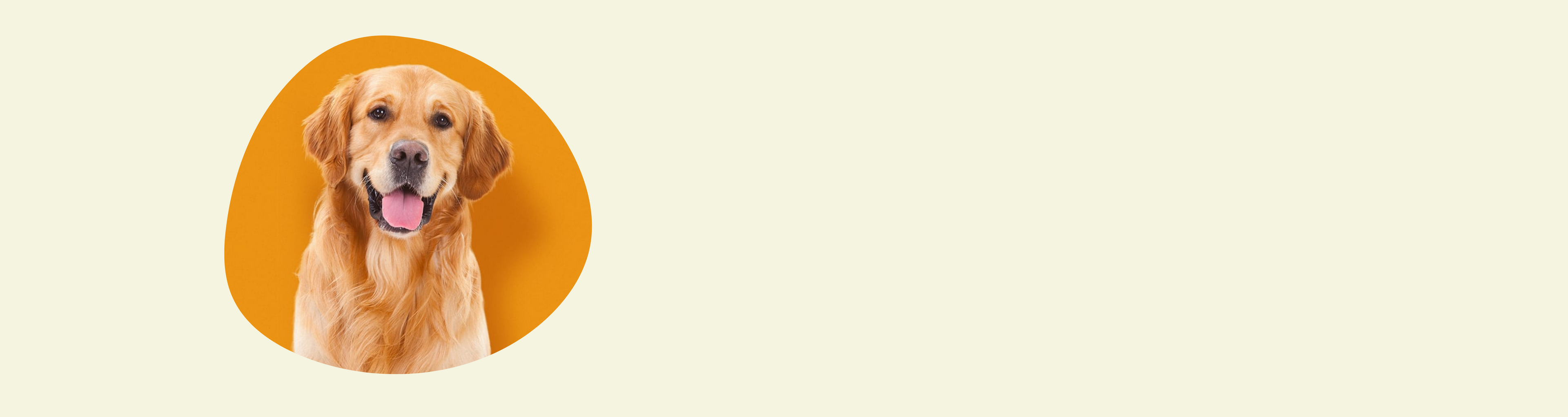 slider image slider_item_FmWiaQ