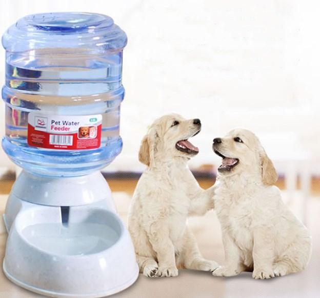 Automatic Pet Feeder & Water Fountain Combo - Eco-Friendly, Recycled Plastic