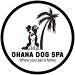 🐕 Ohana Dog Spa St. Petersburg: Where Grooming Meets Community, Care & Pure Dog Happiness A Full Review of Ohana Dog Spa — and why this local gem deserves your support 🐾💚