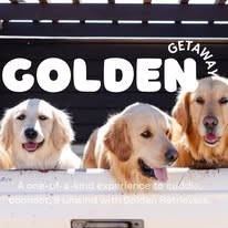 🌵🐾 Golden Getaway — Yucca Valley, California
