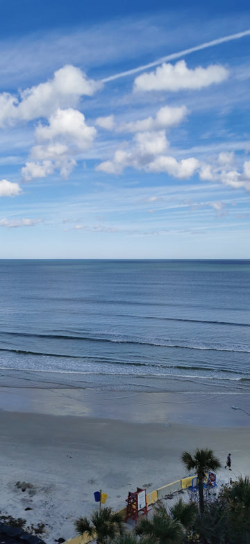 The Florida Pet Life Series Pt 2