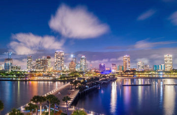 🌴 Why St. Petersburg Is a Dog Lover’s Paradise — And How to Make Every Outing Better (With Eco-Friendly Tips)