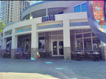 Florida’s Best Dog-Friendly Patios: Where to Sip and Snack with Your Pup in 2026 🍹🐾✨