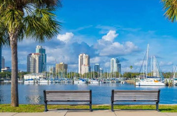 Florida’s Furry Forecast: The Best Active Dog Events & Thriving Patios for 2026 🐾☀️🌴