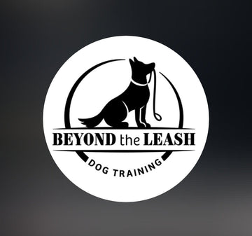 🐾 Beyond the Leash: Orlando’s Premier Dog Training, Day Camp & Canine Community