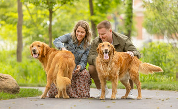 The Heartbreaking Truth About Why Dogs End Up in Pounds — And How Real Love + Smart Care Keeps Them Home Forever