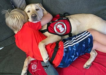 🏡 Service Dogs for Autistic Children: Tiny Heroes, Big Impact 🐶❤️