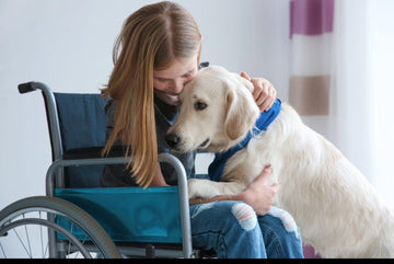 Service Dogs for People with Seizures: Training, Funding, and Trusted Resources