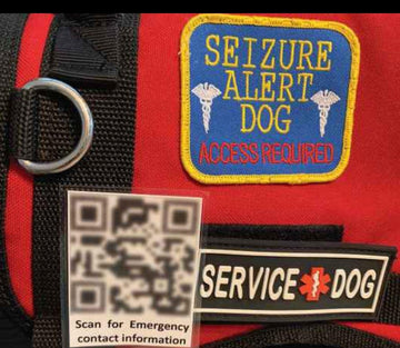 State-Specific Service Dog Funding & Application Strategy Part 2