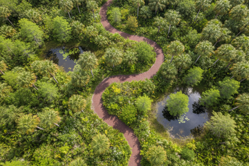 🌴 The Ultimate Florida Dog Adventure Guide: Beaches, Parks & Dog-Friendly Places Every Owner Should Know