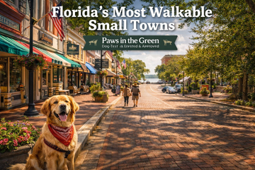 Florida’s Most Walkable Small Downtowns (Seen Through the Paws in the Green Lens) 🌴🐾