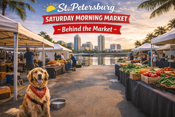 What Really Happens Before the Tents Go Up: Inside St. Pete’s Markets Like You’ve Never Seen Them 🐾🌅
