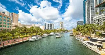 Florida’s Waterfront Walks That Locals Actually Use (And Why Early Morning Changes Everything) 🌅🐾