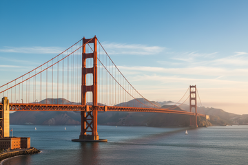 🐾 The Doggy Social Scene in San Francisco (2026 Guide)  Where Dogs Don’t Just Live — They Thrive