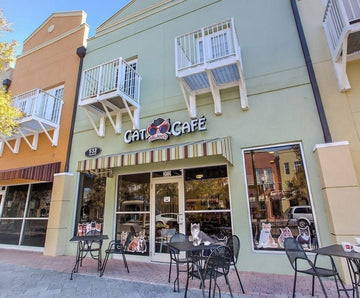 The Florida Pet Life Series Pt 5