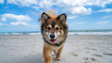 Science Says: Nature = Ultimate Brain Boost!