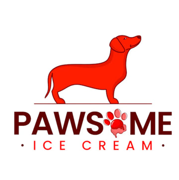 🐾 Pawsome Ice Cream in St. Petersburg, Florida