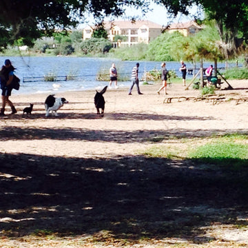 Lake Baldwin Dog Park (Orlando): Why This Is Florida’s Best Urban Off-Leash Space 🐾🌿