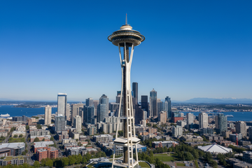🐾 The Doggy Social Scene in Seattle: Parks, Trails, Patios &amp; Pet-Friendly Gems