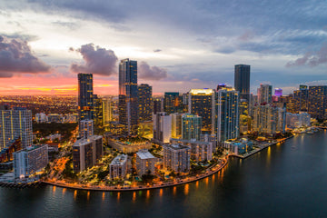 🍸🐶DOG SCENE MIAMI- BEST DOG-FRIENDLY BARS, BREWERIES & RESTAURANTS IN MIAMI