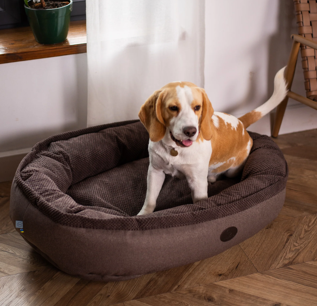 Chester & Lee | Cuddly Bagel Dog Bed