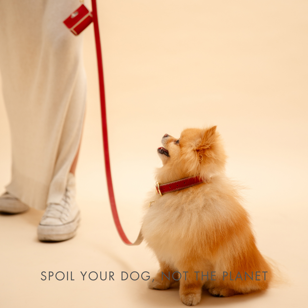 Nina Woof Leash 4ft - Vegan Leather - Copenhagen