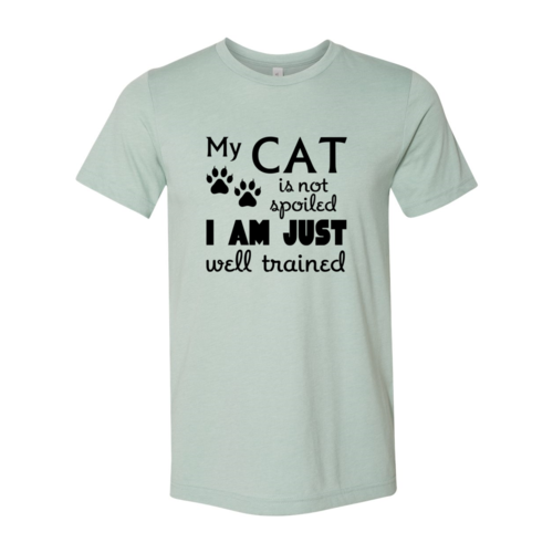 Cat lovers T-Shirt,  Is Not Spoiled Shirt