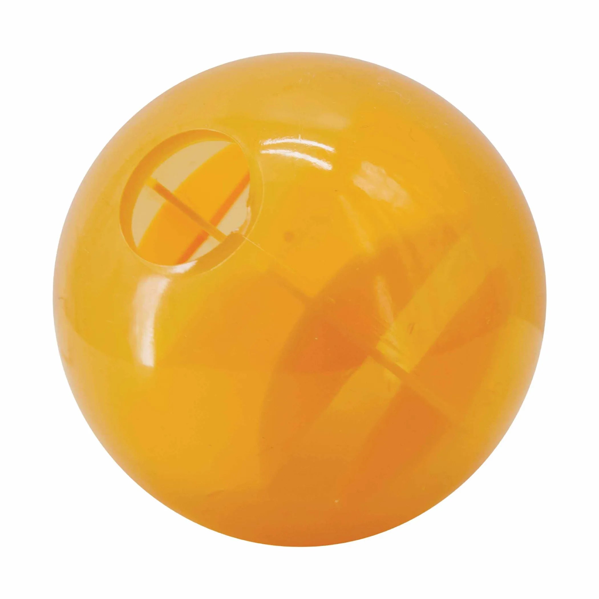 Planet Dog Orbee-Tuff Mazee Interactive Puzzle Dog Toy