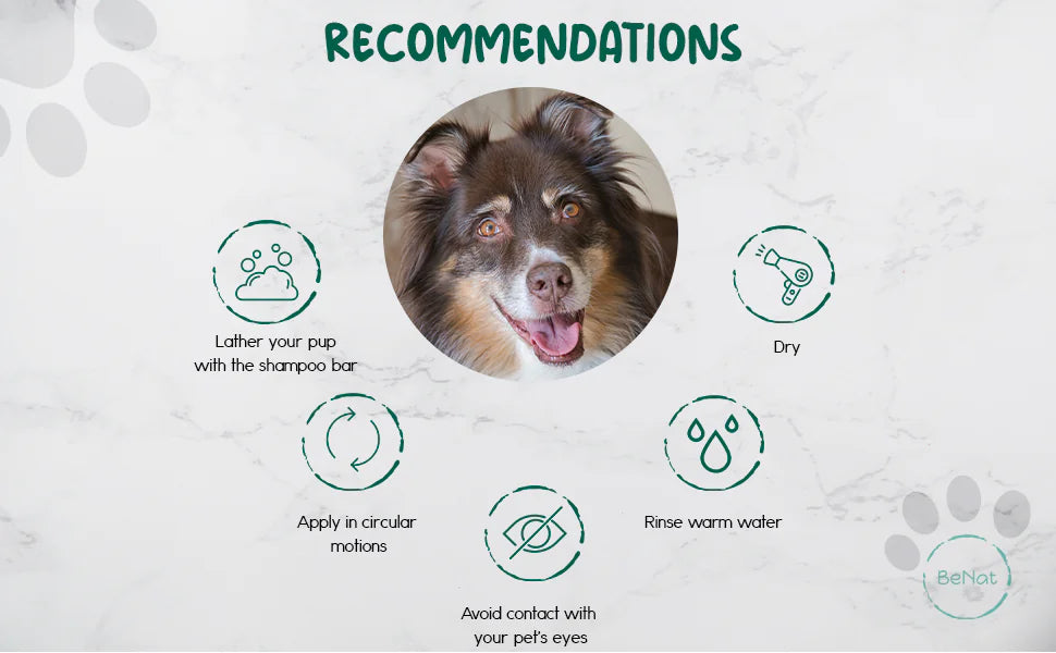 BeNat  All-Natural Pet Shampoo Bar. Oat. 5.8 oz. Eco Friendly