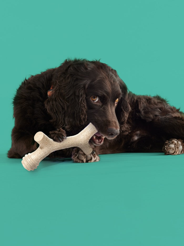 Barkin' Bone
