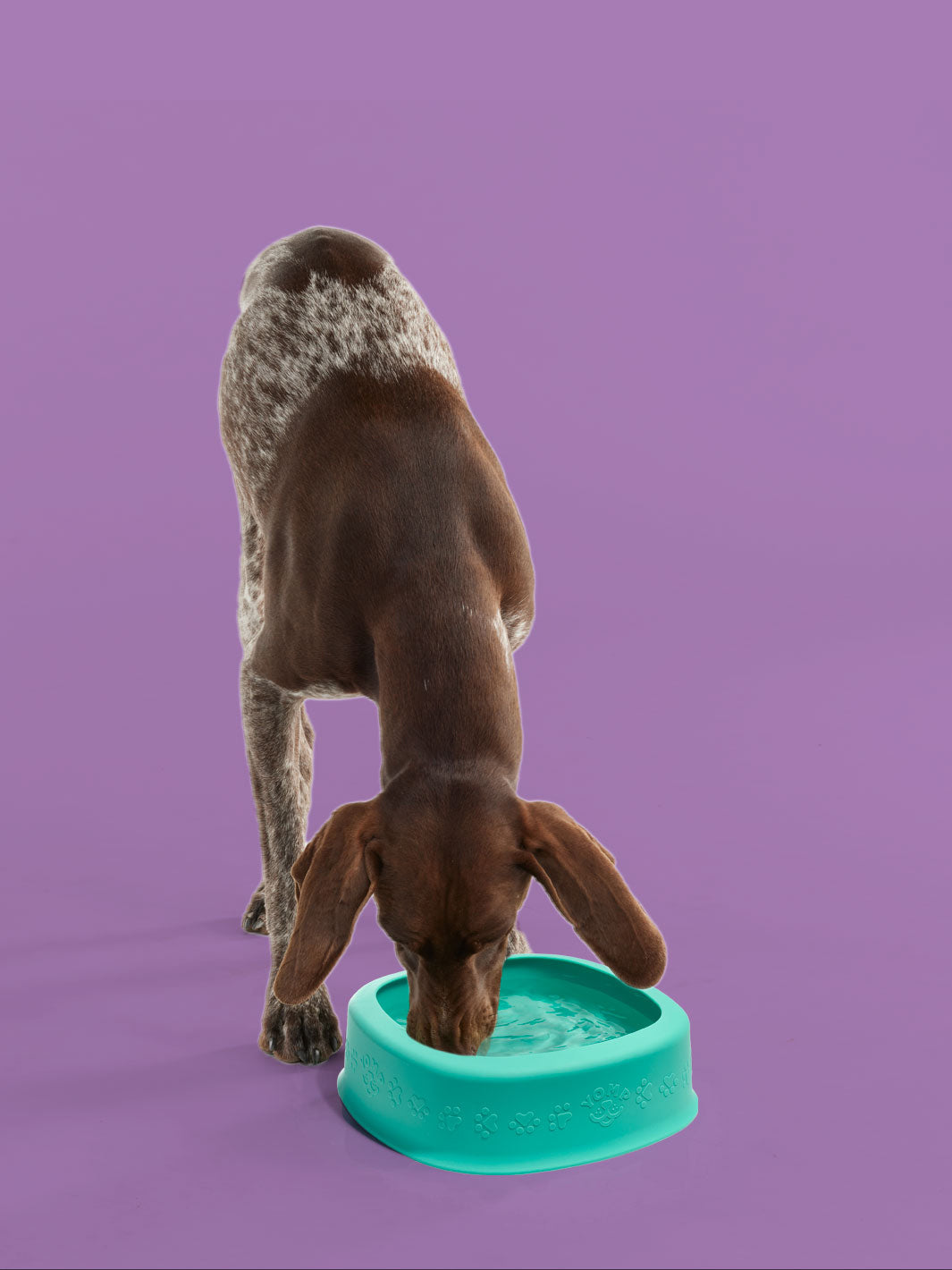 BetterBowl
