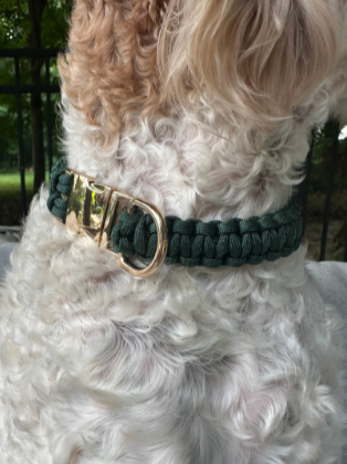 Pawsh Pup Co Cobra Braid in Emerald Green - Handmade Dog Collar