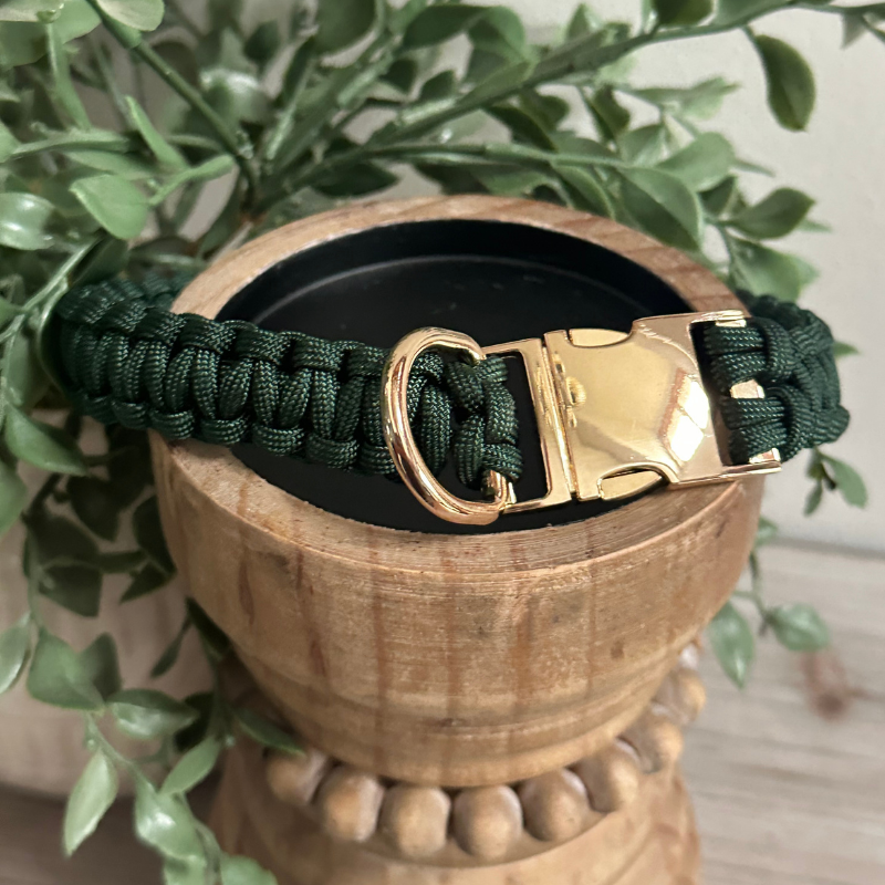 Pawsh Pup Co Cobra Braid in Emerald Green - Handmade Dog Collar