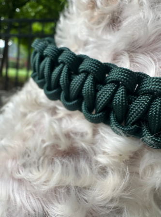 Pawsh Pup Co Cobra Braid in Emerald Green - Handmade Dog Collar