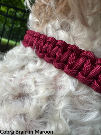 Pawsh Pup Co Cobra Braid in Maroon Handmade Dog Collar