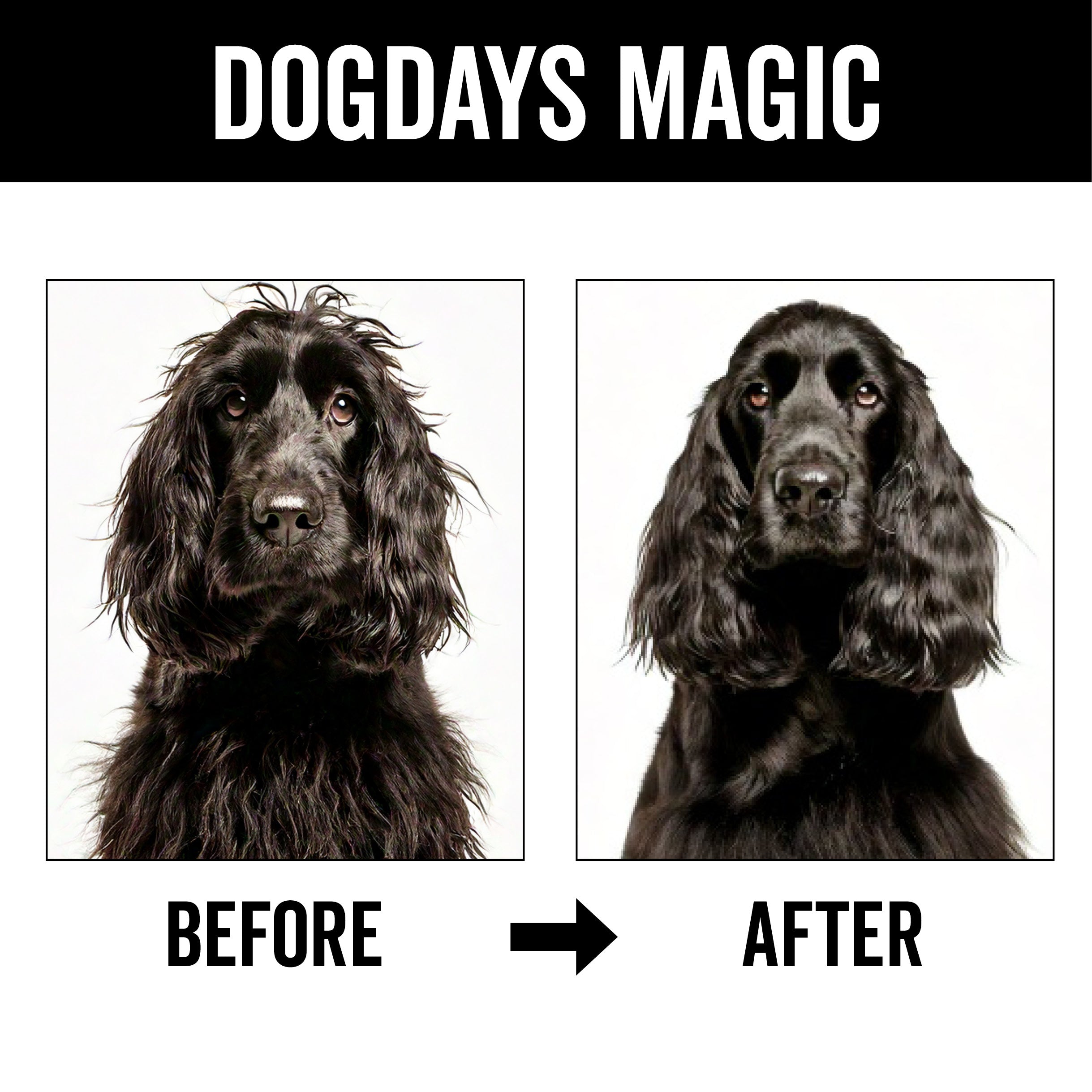 DOGDAYS Leave-In Detangling Spray