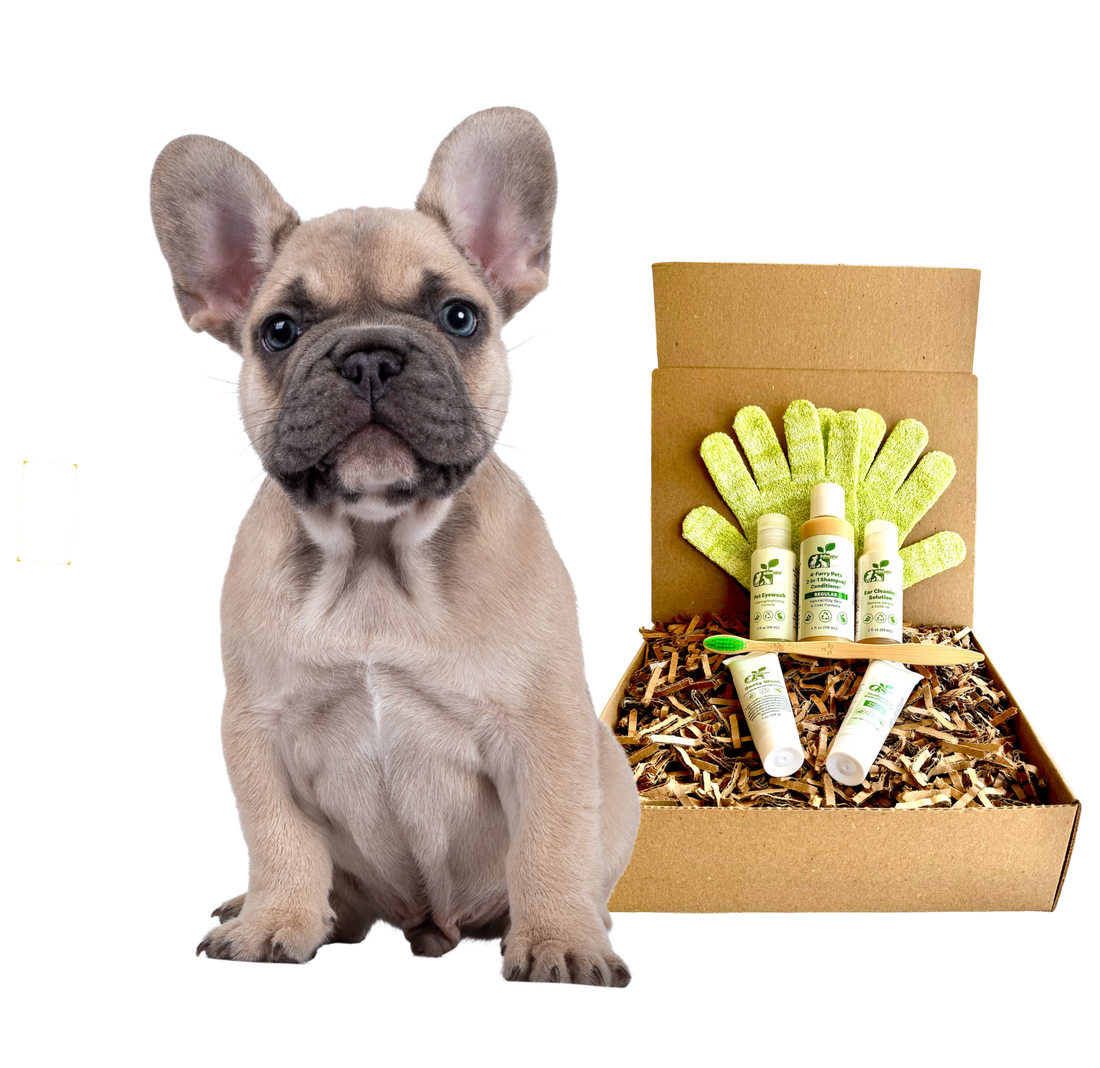4-Furry Dogs Eco-Friendly Regular Dog Grooming Kit — Organic, Non-GMO, Vet Approved