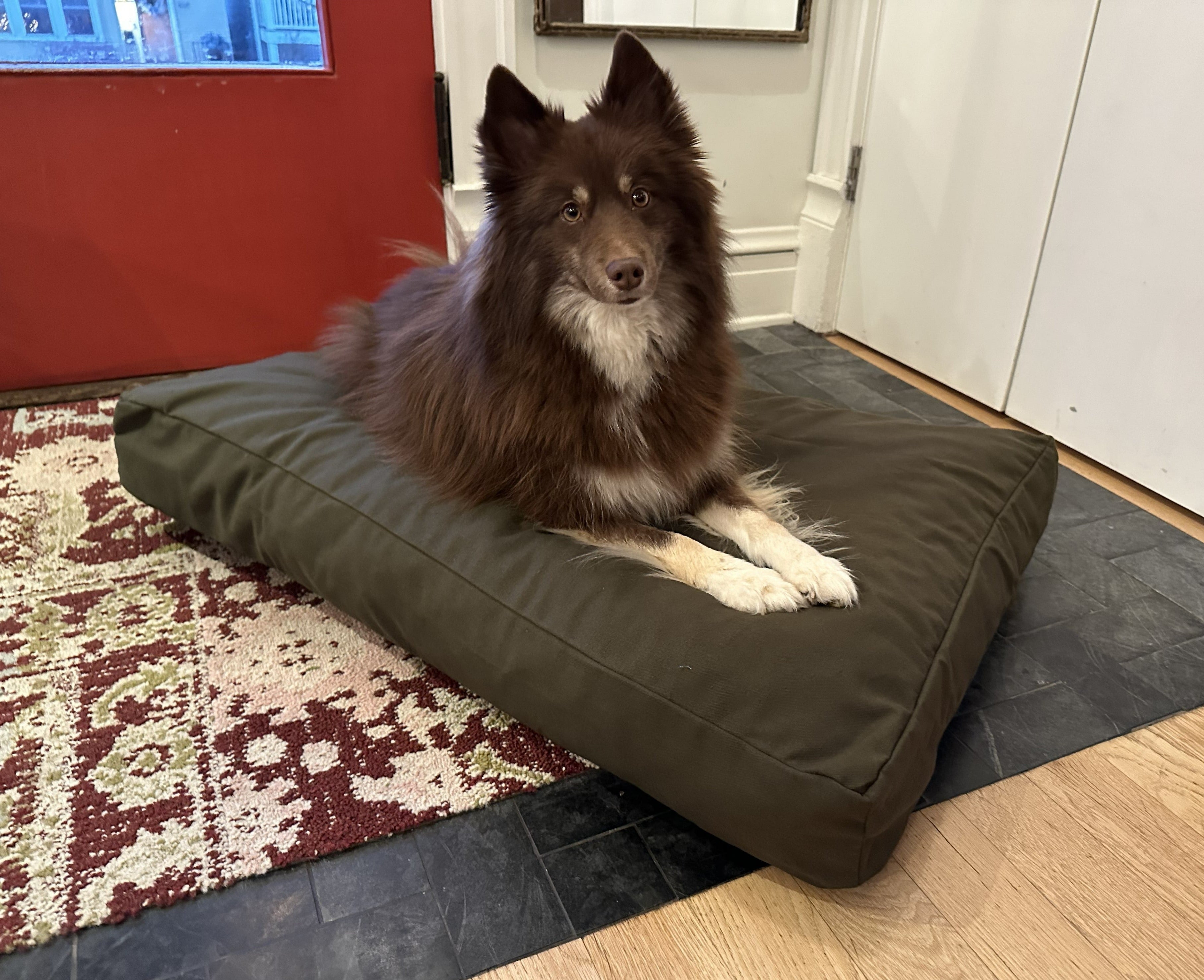 Bean Products Cotton Duck Canvas Dog Bed - Lightweight CertiPUR Foam Fill