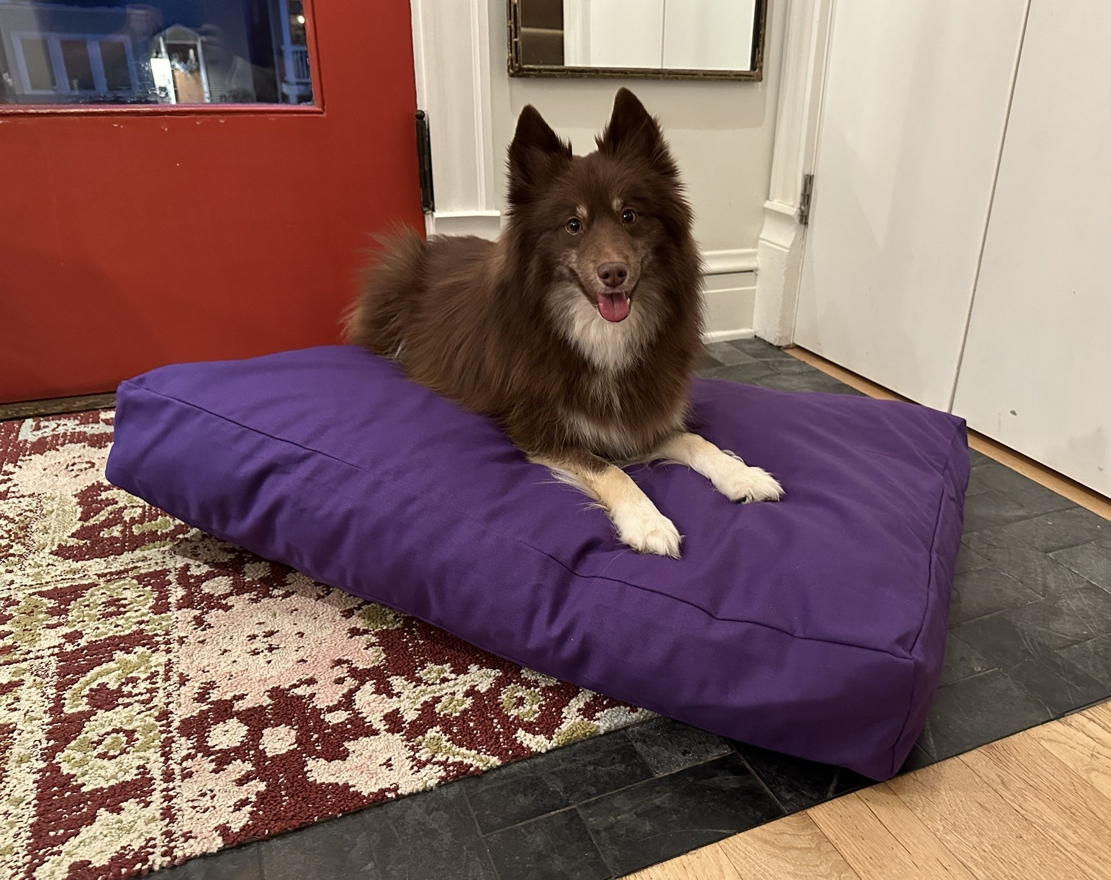 Bean Products Cotton Duck Canvas Dog Bed - Lightweight CertiPUR Foam Fill