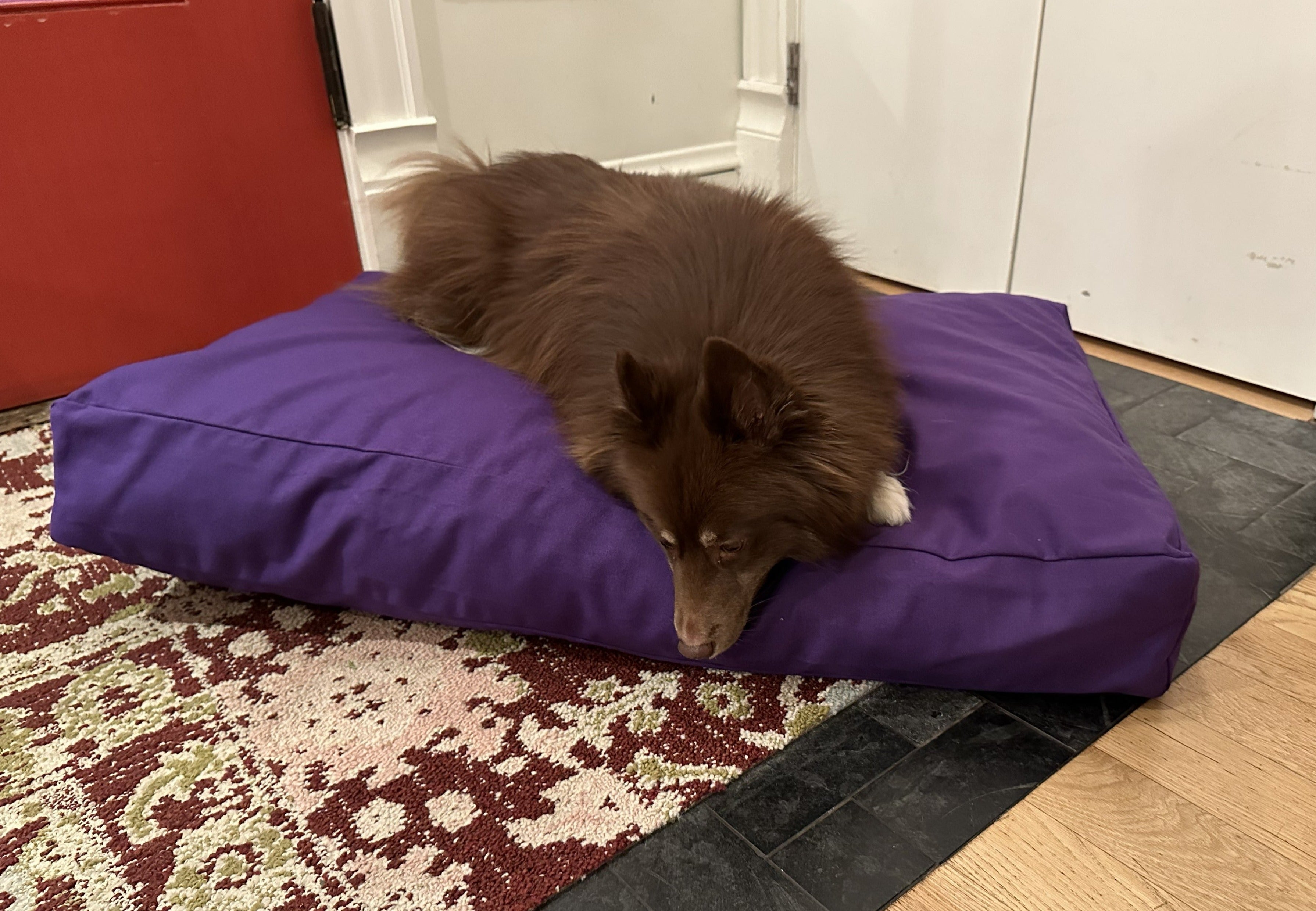 Bean Products Cotton Duck Canvas Dog Bed - Lightweight CertiPUR Foam Fill