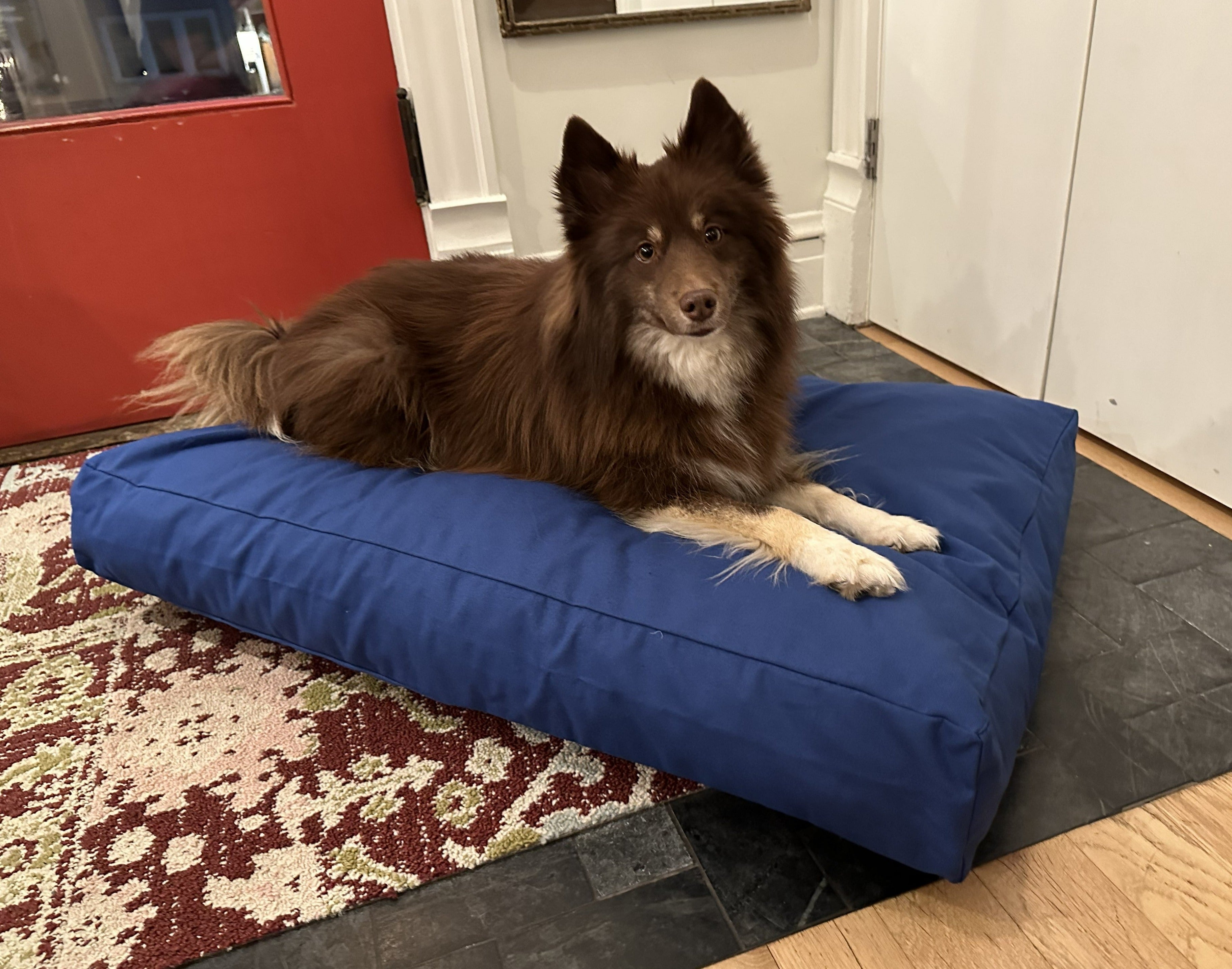 Bean Products Cotton Duck Canvas Dog Bed - Lightweight CertiPUR Foam Fill