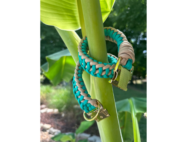 Pawsh Pup Co Infinity Braid in Teal & Light Tan - Handmade Dog Collar