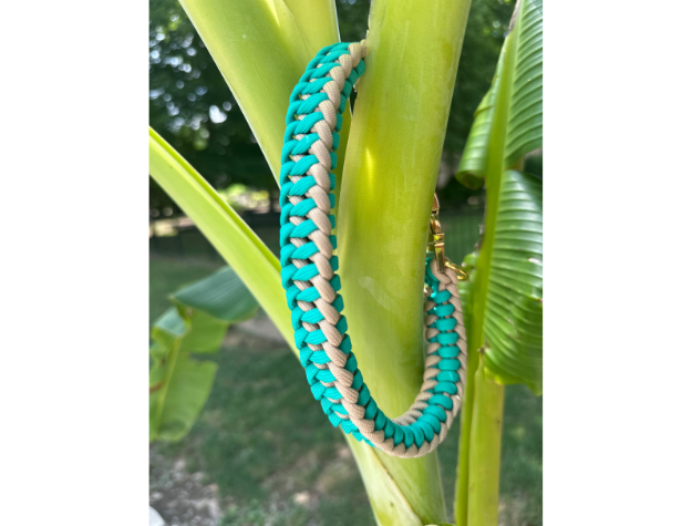 Pawsh Pup Co Infinity Braid in Teal & Light Tan - Handmade Dog Collar