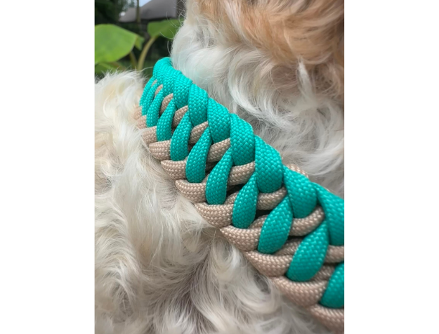 Pawsh Pup Co Infinity Braid in Teal & Light Tan - Handmade Dog Collar