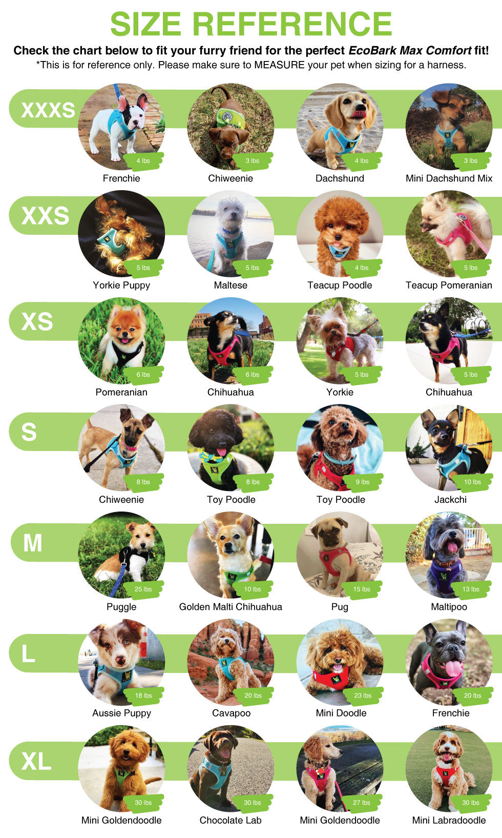 EcoBark Step In Dog Harness - Teacup & Small Breeds- Reflective Soft Mesh Harness for Teacup, Small Dogs and Puppies / Purple