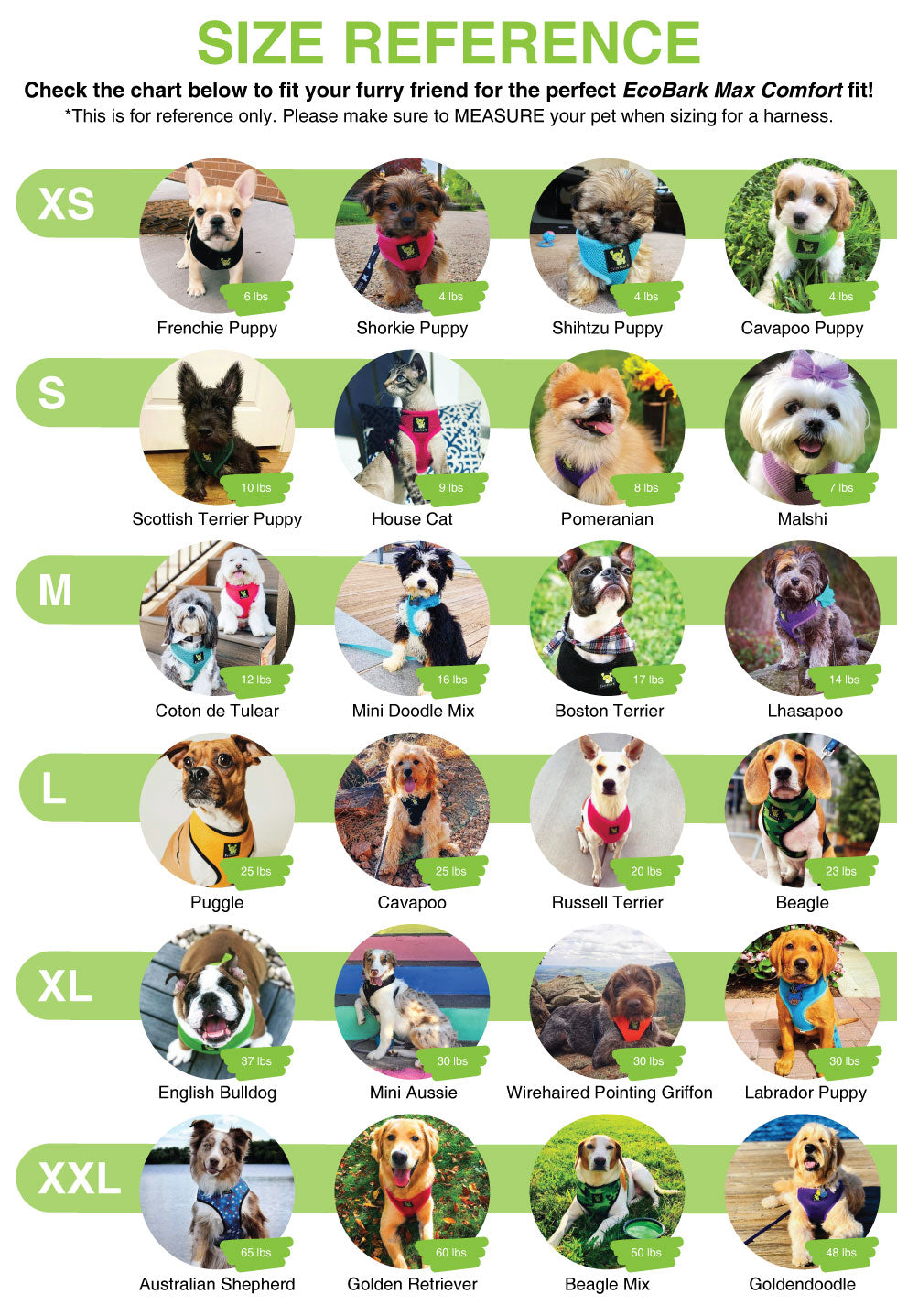 EcoBark Teal Dog Harness - Over-the-Head Soft Mesh Dog Vest Halter for Small to Medium Dogs and Puppies