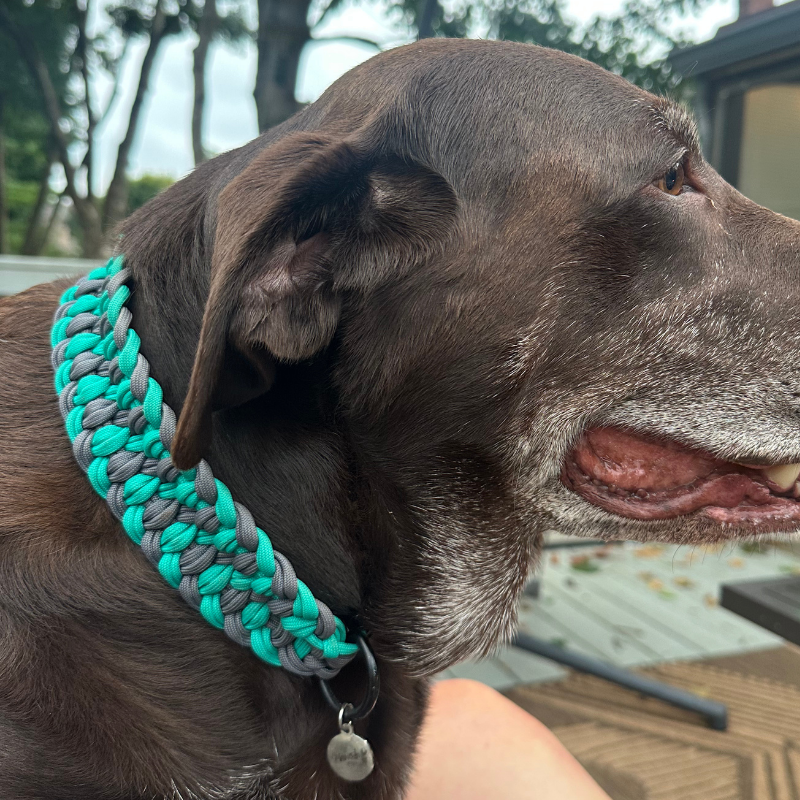 Pawsh Pup Co Josephine Braid Handmade Dog Collar - Customize Your Colors