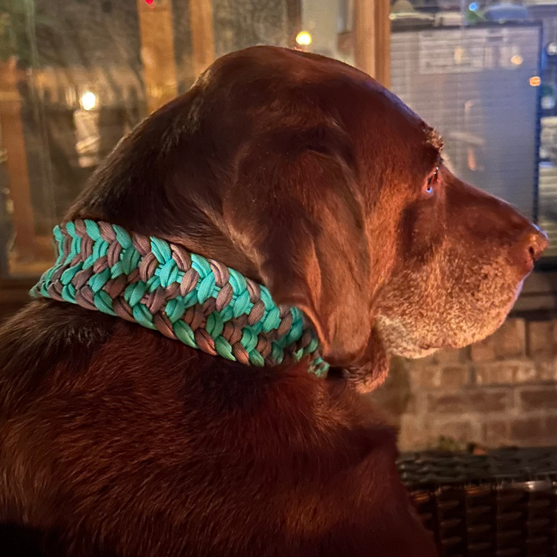 Pawsh Pup Co Josephine Braid Handmade Dog Collar - Customize Your Colors