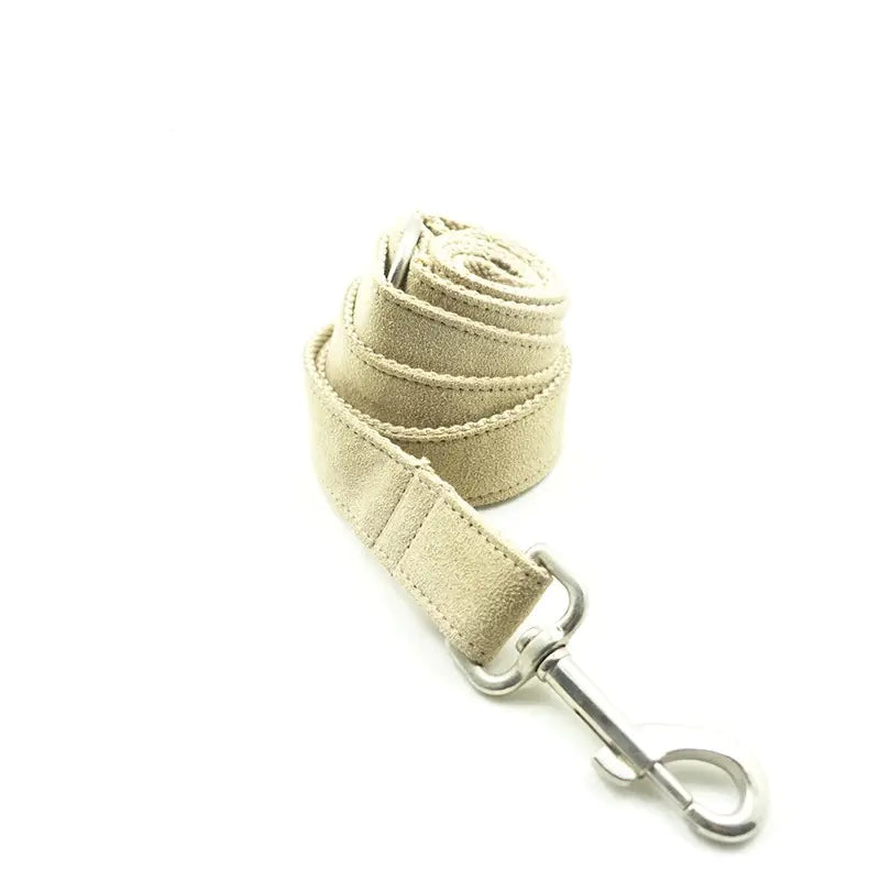 Creative Teddy Dog Leash - Eco-Friendly
