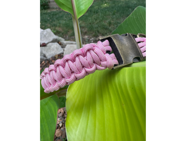 Pawsh Pup Co Cobra Braid in Pink & White Stripes - Handmade Dog Collar